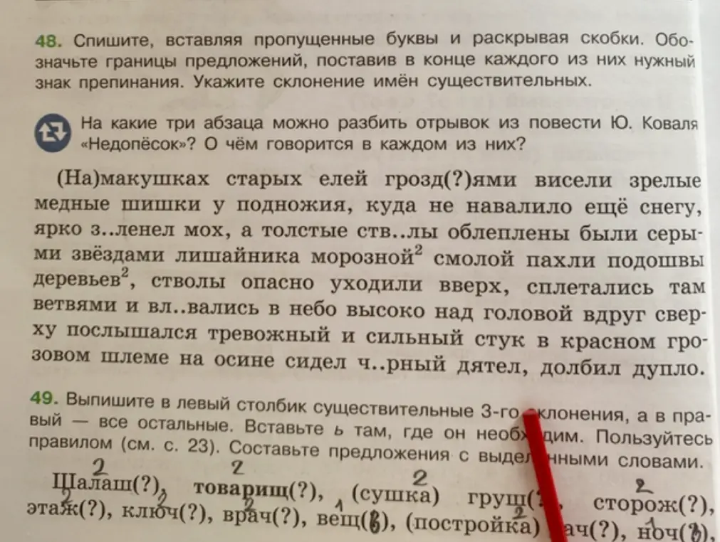 Спиши текст, вставляя пропущенные буквы и раскрывая скобки; обозначь границы предложений, поставив в конце каждого из них нужный знак препинания, укажи склонение имён существительных и выпиши существительные 3-го склонения, а в правый - все остальные.