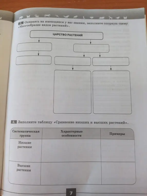 Заполни опорную схему «Многообразие видов растений» и таблицу «Сравнение низших и высших растений».