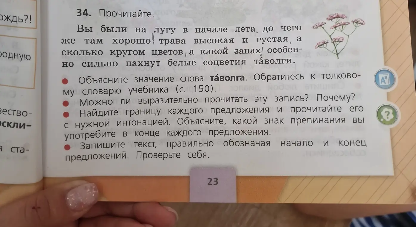 Объясни значение слова 'таволга'