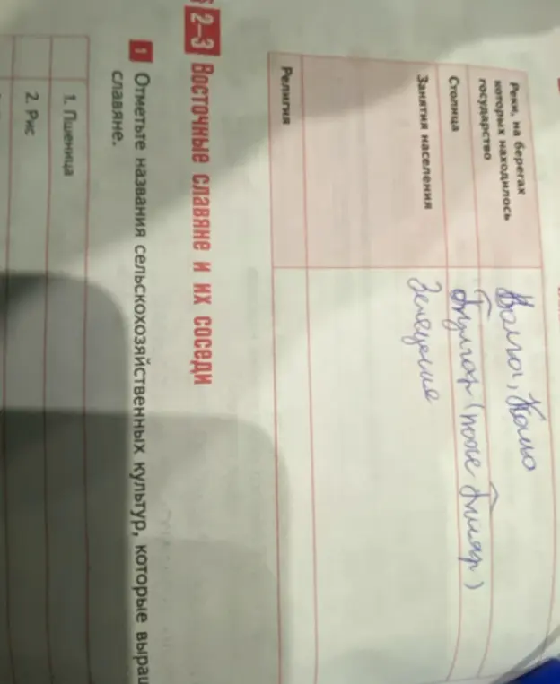 Какие названия сельскохозяйственных культур, которые выращивали славяне?