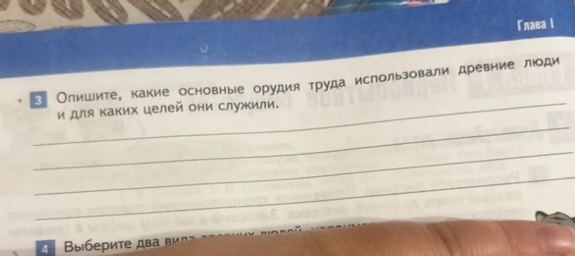Опиши основные орудия труда, которые использовали древние люди и для каких целей они служили