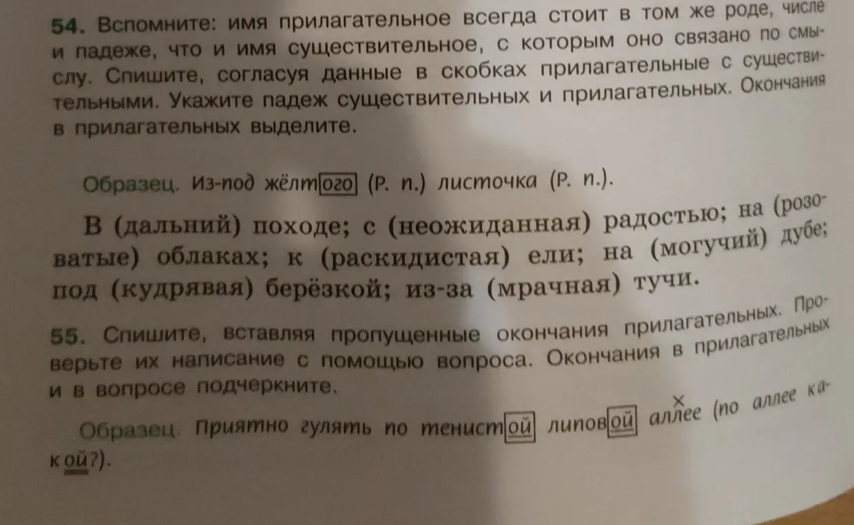 Выполни упражнение: спиши, согласуя данные в скобках прилагательные с существительными, укажи падеж существительных и прилагательных, окончания в прилагательных выдели.