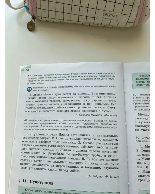 Выполни упражнение, вставь пропущенные буквы, подчеркни грамматическую основу и определи второстепенные и однородные члены в предложениях.
