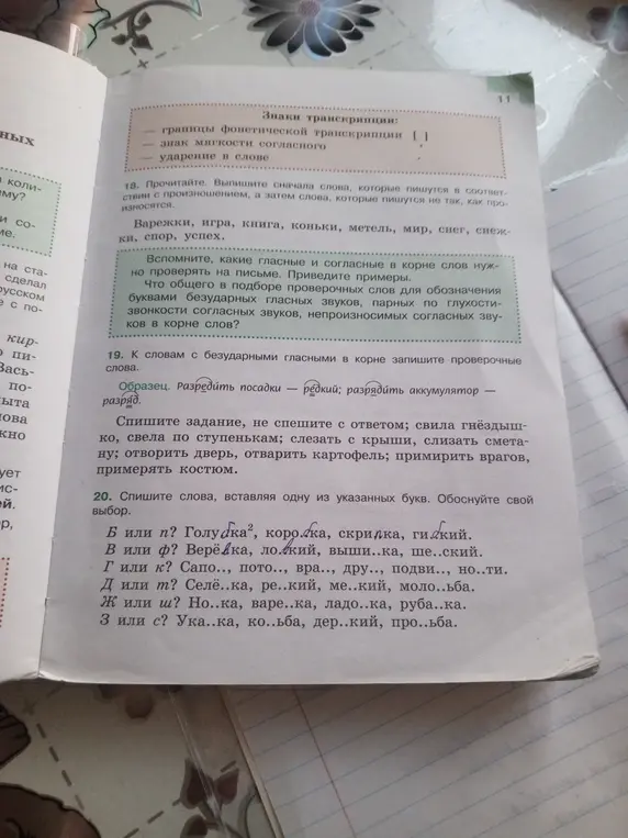Выполни задание: спиши слова, вставляя одну из указанных букв (Б или П) в словах 'Голу...ка, коро...ка, скрипка, ги...кий' и обоснуй свой выбор