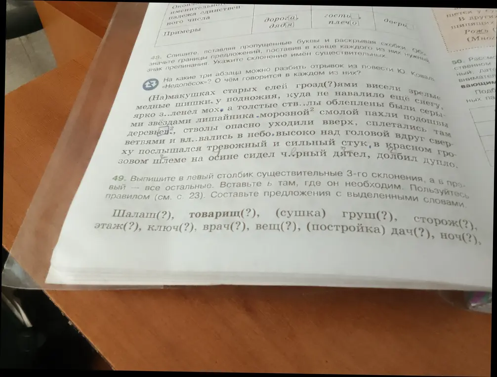 Помоги выписать существительные 3-го склонения, вставить Ь, составить предложения с выделенными словами