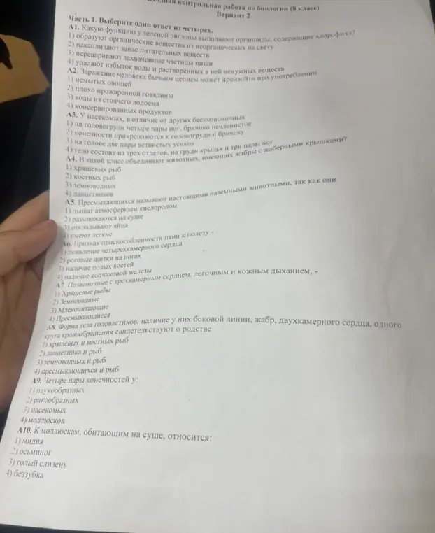 Ты можешь выбрать один ответ из четырёх: какую функцию у зелёной эвглены выполняют органоиды, содержащие хлорофилл?