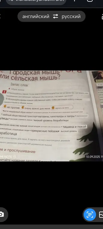 Ты просишь использовать фразы и собственные идеи, чтобы рассказать классу о своих предпочтениях в образе жизни.
