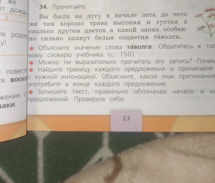 Объясни значение слова таволга