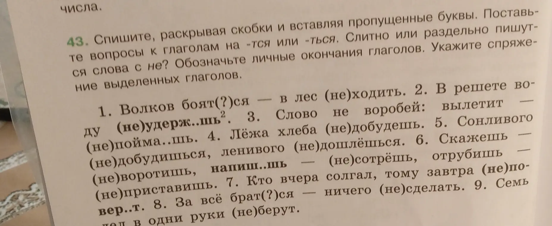 Спиши, раскрывая скобки и вставляя пропущенные буквы в предложении 'Волков боят(?)ся – в лес (не)ходить'