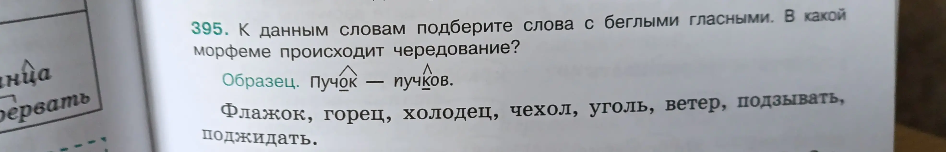 К данным словам подбери слова с беглыми гласными