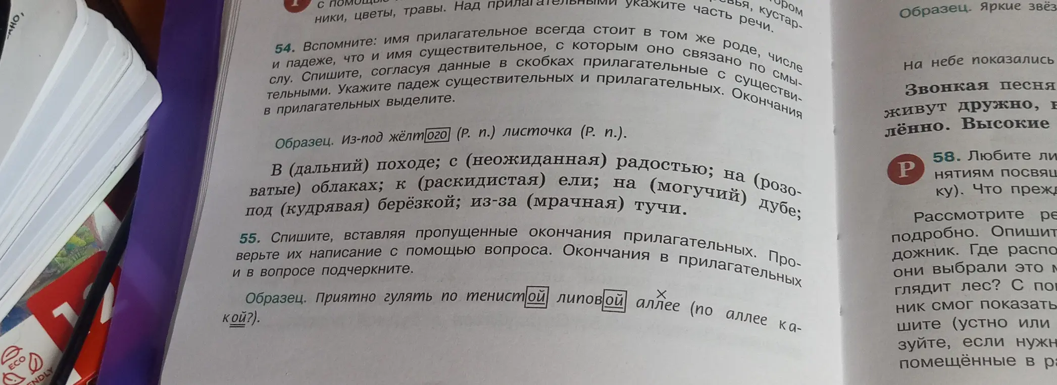 Определи падежи существительных и прилагательных