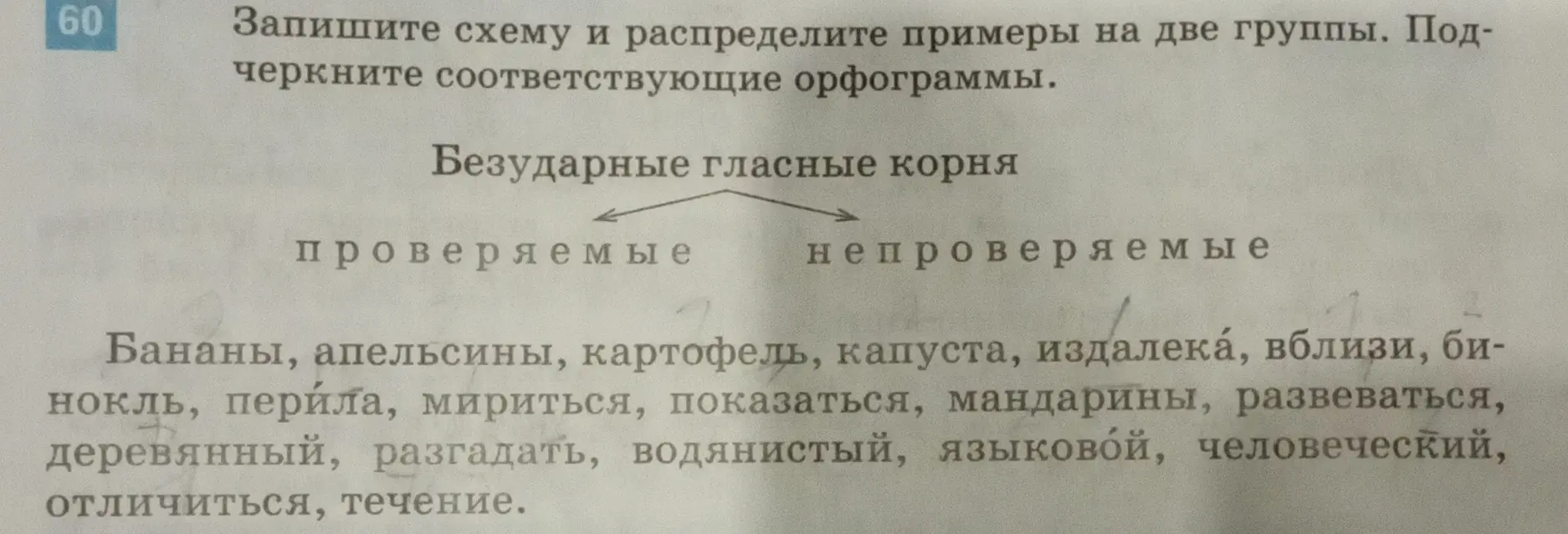Распредели примеры на две группы: проверяемые и непроверяемые безударные гласные корня и подчеркни соответствующие орфограммы.