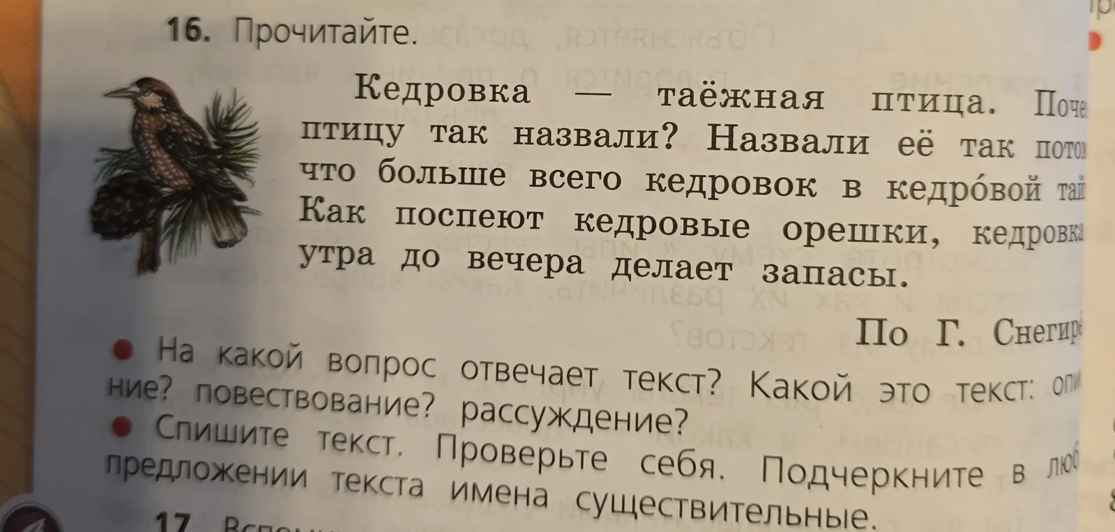 Определи, на какой вопрос отвечает текст про кедровку и какой это тип текста (описание, повествование или рассуждение), а также подчеркни имена существительные в предложении