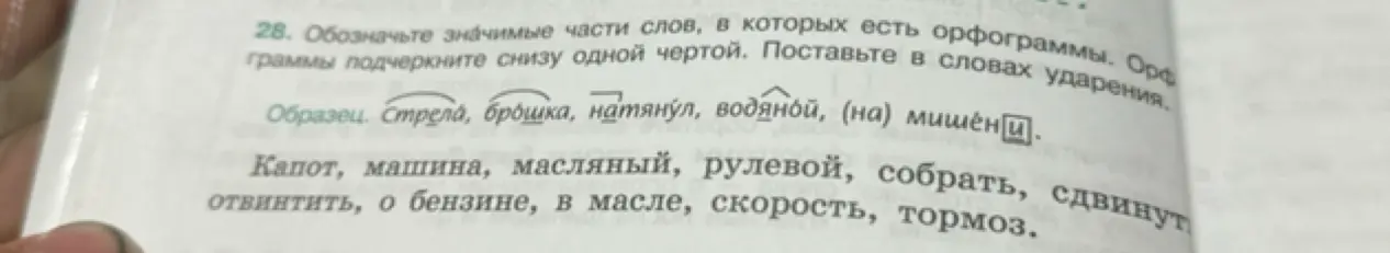 Ты просишь меня отметить значимые части слов, в которых есть орфограммы, и поставить в словах ударения.