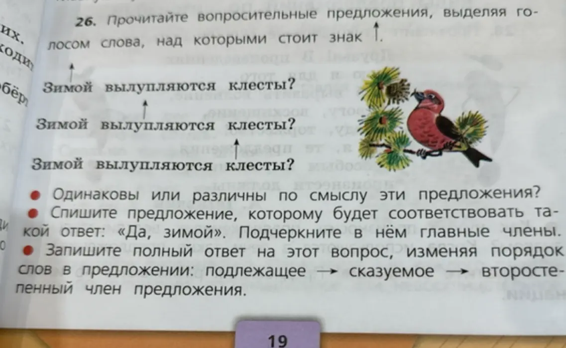 Прочитай вопросительные предложения, выделяя голосом слова, над которыми стоит знак.