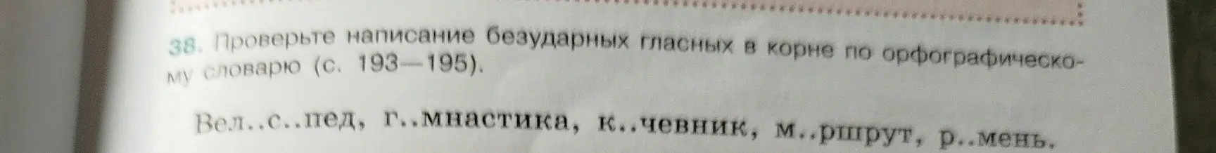 Можешь помочь мне проверить написание безударных гласных в корне слов: Вел..с..пед, г..мнастика, к..чевник, м..ршрут, р..мень?
