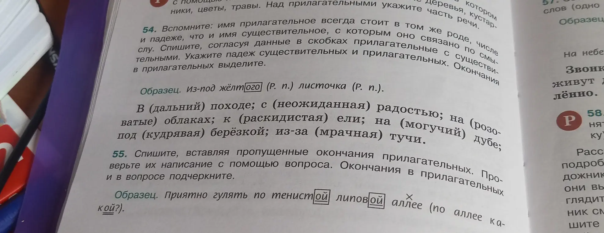 Помоги в упражнении 54: согласуй данные в скобках прилагательные с существительными