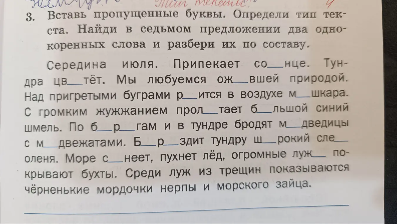 Вставь пропущенные буквы в тексте.
