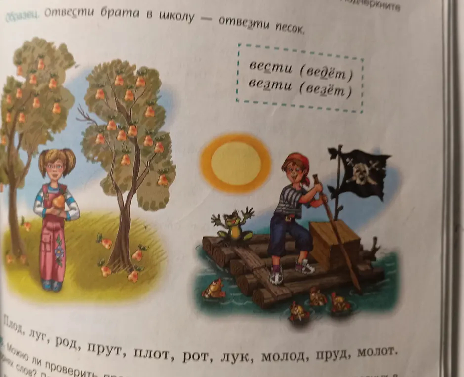Объясни, как правильно писать слова "вести" и "везти", и как проверить правописание парных согласных в корне слова.