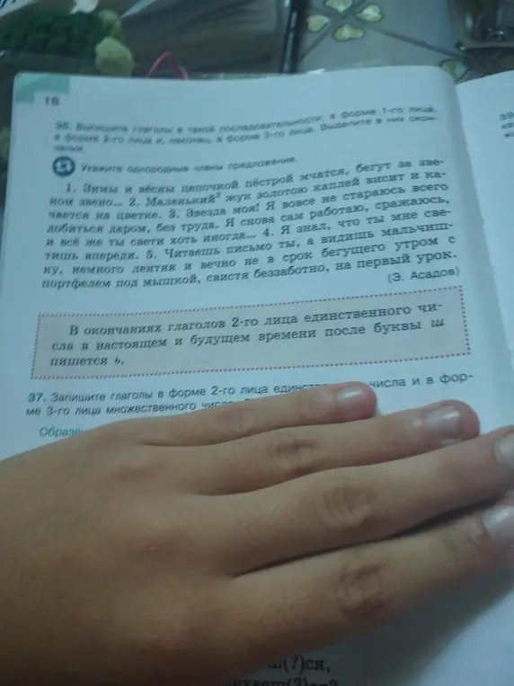 Выполни задание: выпиши глаголы в такой последовательности: в форме 1-го лица, в форме 2-го лица и, наконец, в форме 3-го лица. Выдели в них окончания. Укажи однородные члены предложения в тексте.