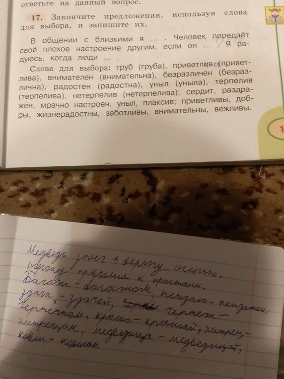 Ты просишь закончить предложения, используя слова для выбора, и записав их.