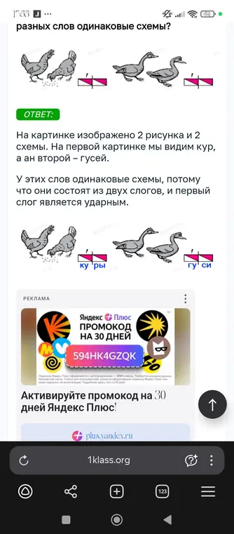 Ты просишь объяснить, почему у слов «куры» и «гуси» одинаковые схемы