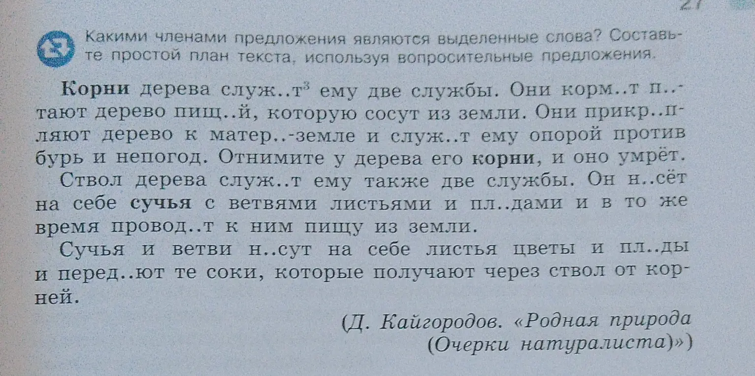Какие члены предложения являются выделенные слова?