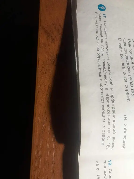 Выполни письменно лексический и орфографический анализ слова околица по плану, приведённому в «Приложении» на с. 163