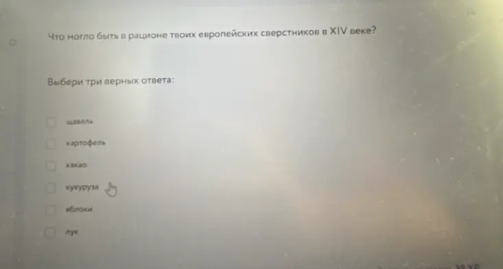 Что могло быть в рационе твоих европейских сверстников в XIV веке?