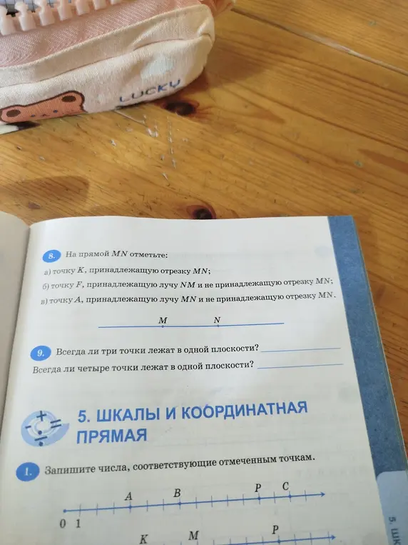 Что нужно делать в номере 8: на прямой MN отметь точку K, принадлежащую отрезку MN