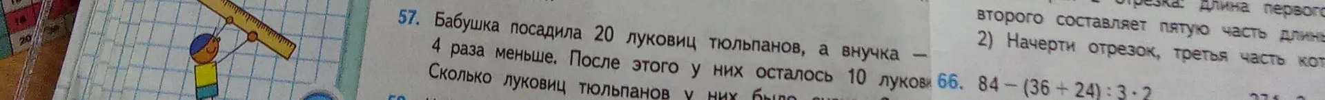 Помоги решить задачу: Бабушка посадила 20 луковиц тюльпанов, а внучка – в 4 раза меньше. После этого у них осталось 10 луковиц. Сколько луковиц тюльпанов у них было сначала?