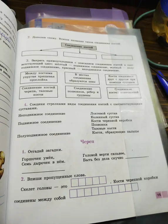 Выполни задания на странице учебника по биологии: отгадай загадки, впиши пропущенные слова, раскрась прямоугольники и соедини стрелками виды соединения костей с соответствующими суставами.