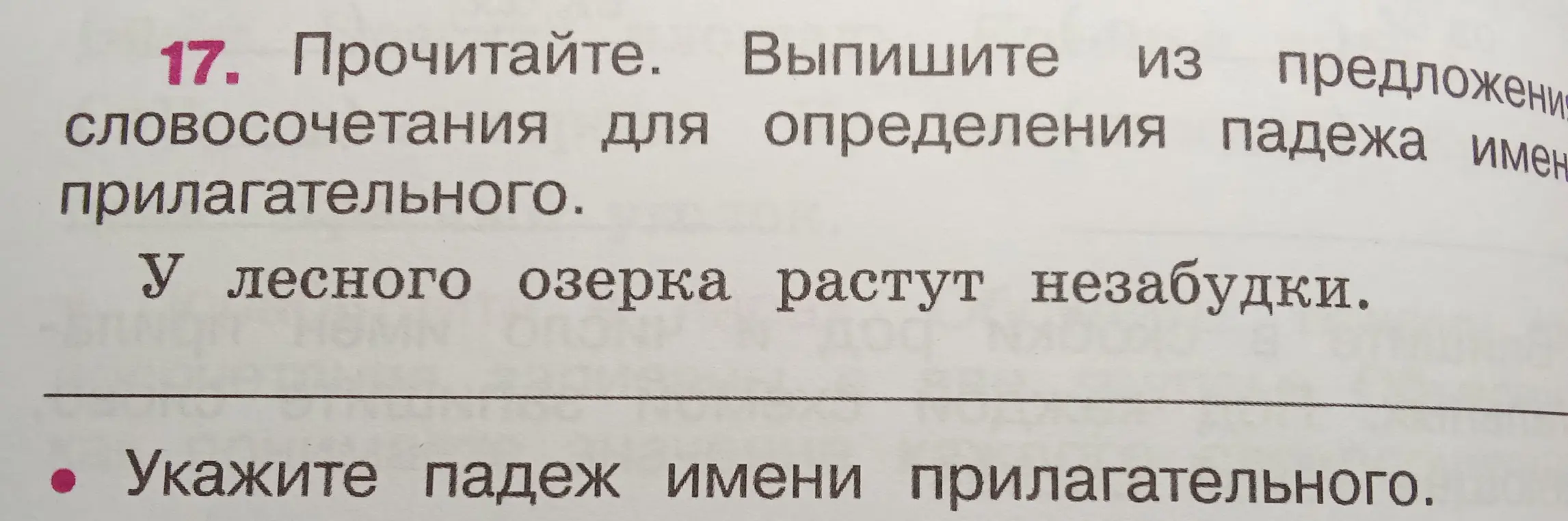 Выпиши из предложения словосочетания для определения падежа имени прилагательного.
