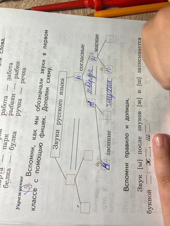 Помоги мне заполнить схему "Звуки русского языка" и вспомнить правило правописания после шипящих