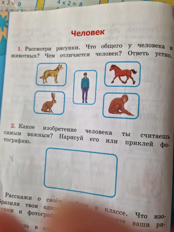 Что общего у человека и животных? Какое изобретение человека ты считаешь самым важным?