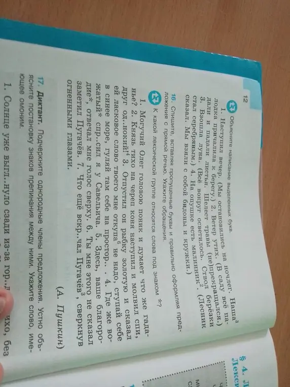 Выполни задание 16 - вставь пропущенные буквы и правильно оформи предложения с прямой речью, укажи обращения, определи лексическую группу слов с символом *. Выполни задание 17 - подчеркни однородные члены предложения, объясни постановку знаков препинания, укажи слово, имеющее омоним