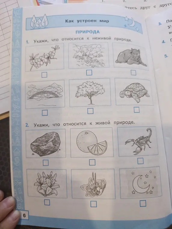 Укажи, что относится к неживой природе.