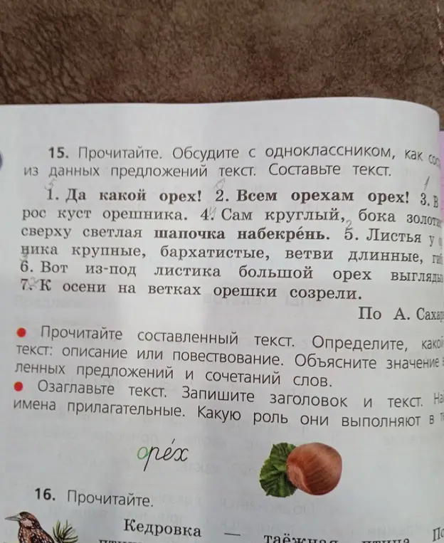 Составь текст из предложений про орех, определи тип текста, озаглавь текст и найди имена прилагательные