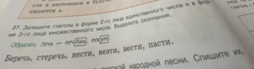 Запиши глаголы «беречь, стеречь, нести, везти, вести, пасти» в форме 2-го лица единственного числа и в форме 3-го лица множественного числа.