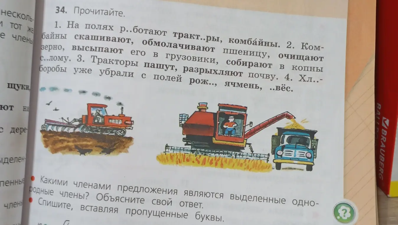 Помоги с упражнением: спиши, вставляя пропущенные буквы и определи, какими членами предложения являются выделенные однородные члены.