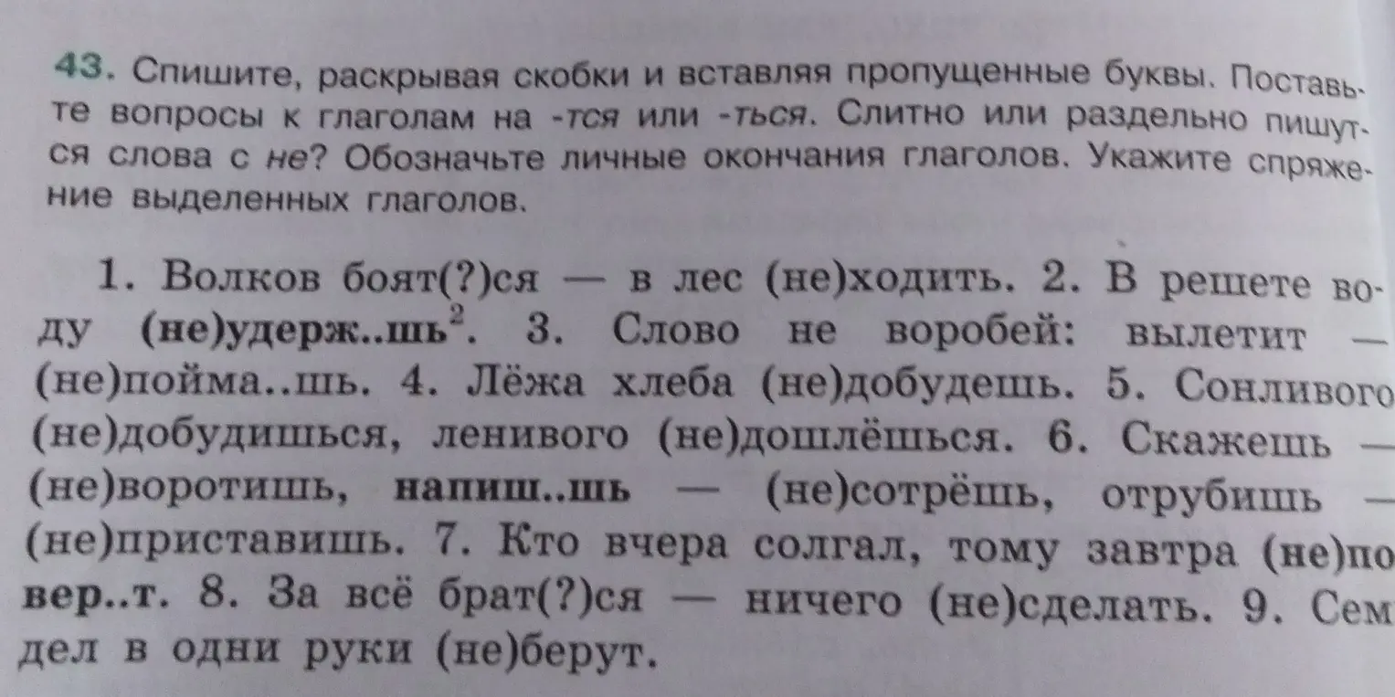 Выполни задание: спиши, раскрывая скобки и вставляя пропущенные буквы в предложении "Волков боят(?)ся - в лес (не)ходить"