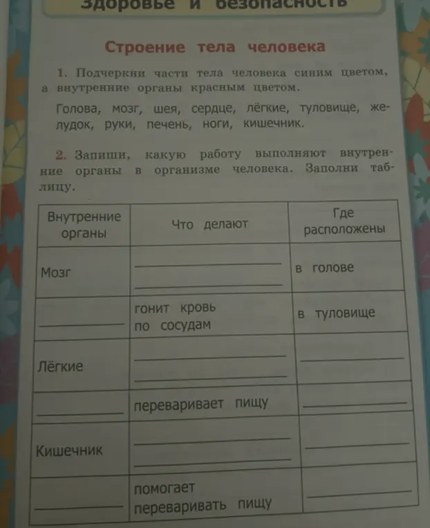 Предложи решения для заданий по биологии: подчеркни части тела человека синим цветом, а внутренние органы красным цветом. Заполни таблицу, указав, какую работу выполняют внутренние органы и где они расположены.