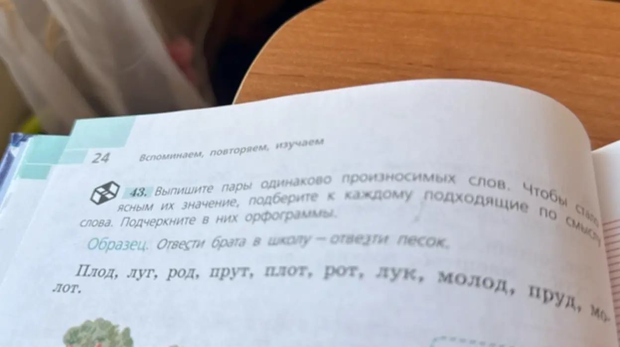 Выпиши пары одинаково произносимых слов.
