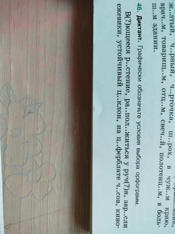 Объясни, как вставить пропущенные буквы и графически обозначить условия выбора орфограмм в словах 'В(?)ющееся р..стение'