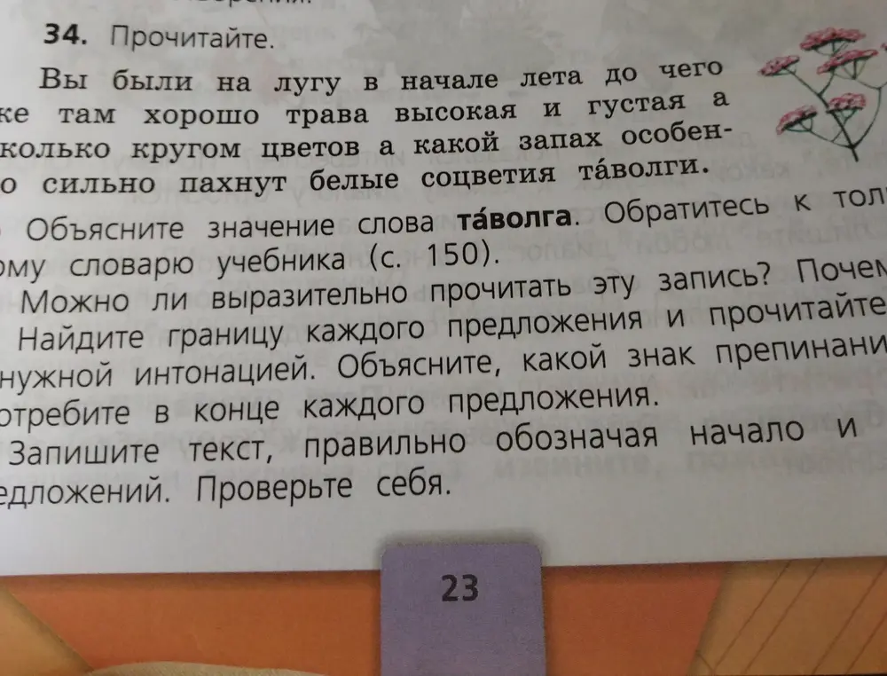 Ты просишь прочитать текст, объяснить значение слова, прочитать выразительно, найти границы предложений и знаки препинания, и записать текст правильно.