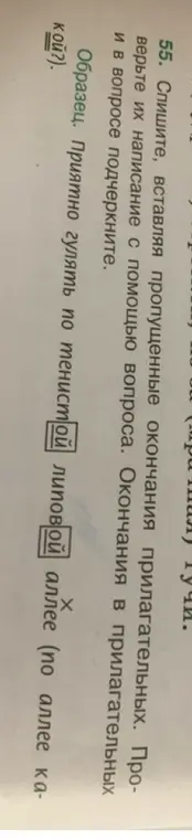 Вставь пропущенные окончания прилагательных, вставляя их написание с помощью вопроса