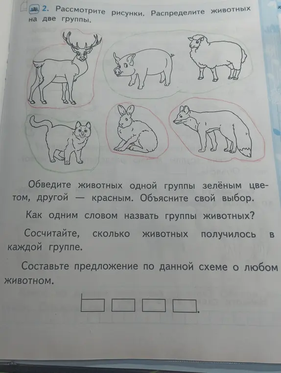 Предложи распределить животных на две группы