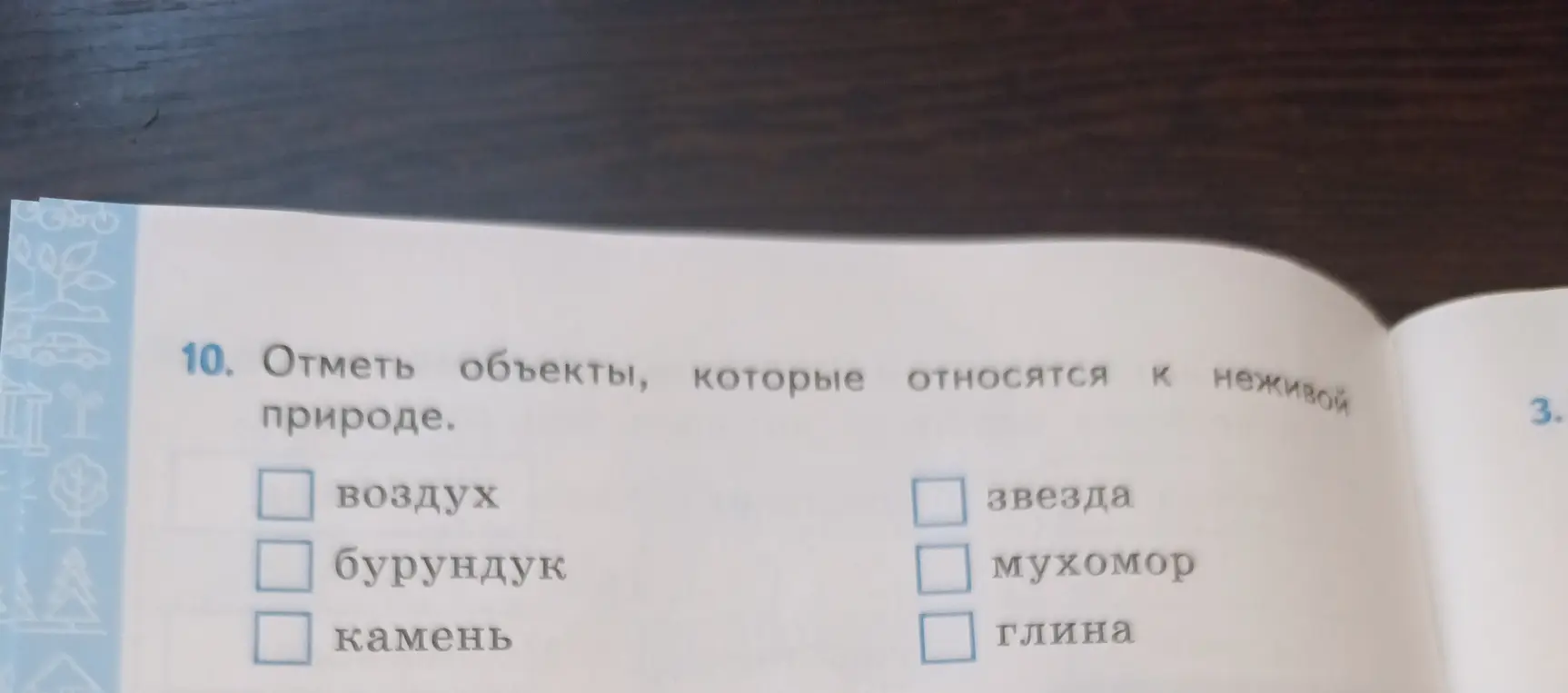 Предложи отметить объекты, которые относятся к неживой природе.