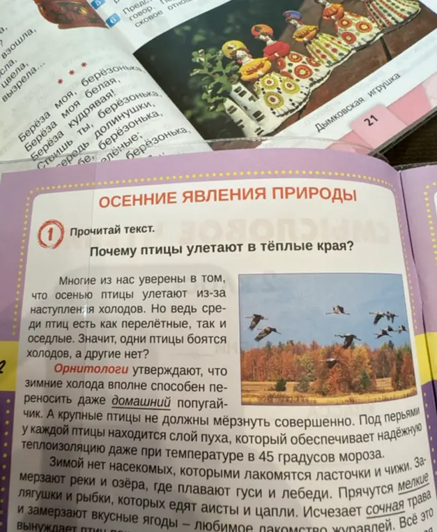 Прочитай текст про осенние явления природы и ответь на вопрос, почему птицы улетают в тёплые края