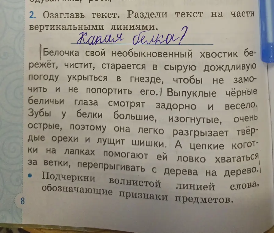 Подчеркни волнистой линией слова, обозначающие признаки предметов в тексте про белочку